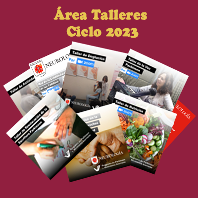 Resumen Actividades Área Talleres – Ciclo 2023